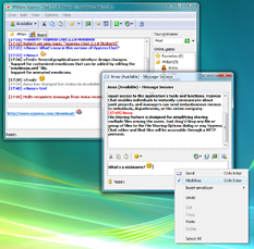 Private Message Session in Windows Vista
